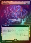 ��FOIL�ۡ�����άå�δ��/Raiding Schemes[¿��R]��ECL��[��ĥ������]