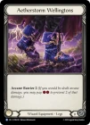 �Աѡ�[��ѻ�] �����ƥ���Υ쥤��֡���/[Wizard]Aetherstorm Wellingtons[R]��PEN��