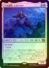 ���ݥ����10��Ը������FOIL�ۡ����۲���ƻ�����쥪�ʥ��/Leonardo, Sewer Samurai[��MR]��TMT��
