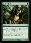 ���ò��ʡ�����EX�������ۼ������׵�/Nature's Claim[��C]��WWK��