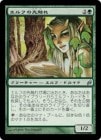 ���ò��ʡ�����EX�������ۥ���դ��迨��/Elvish Harbinger[��U]��LRW��