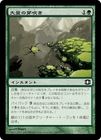 ���������̤β�᤭/Sprout Swarm[��C]��FUT��