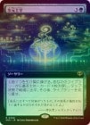 ��FOIL�ۡ����ۼ�������/Planar Engineering[��R]��SOS��[��ĥ������]