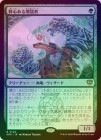 ��FOIL�ۡ����������������/Ambitious Augmenter[��R]��SOS��