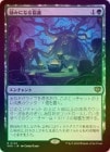 ��FOIL�ۡ�������ߤˤʤ붨��/Comforting Counsel[��R]��SOS��