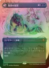 ��FOIL�ۡ�����ȯ��μ½�/Germination Practicum[��MR]��SOS��[�ܡ������쥹]
