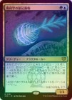 ��FOIL�ۡ����۴����ؤ���­ưʪ/Geometer's Arthropod[¿��R]��SOS��