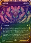��FOIL�ۡ����ۻͻ�����/Dismember[��R]��SOA��