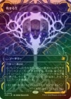 ��FOIL�ۡ����ۻऻ����/Living End[��MR]��SOA��