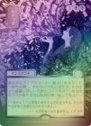 �ڥ���С�����������FOIL�ۡ����ۤफ�Ĥ�/Ad Nauseam[��MR]��SOA��[���ܲ�]���ݥ����3%����