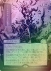 �ڥ���С�����������FOIL�ۡ����ۥ�������ɥ�åɤ�ļ��/Sheoldred's Edict[��R]��SOA��[���ܲ�]���ݥ����3%����