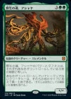 ���ò��ʡ��ץ���ޡ����ա������������κ����������/Ashaya, Soul of the Wild[��MR]��ZNR��
