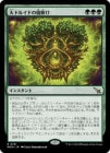 ���ò��ʡ��ץ���ޡ����ա���������ɥ륤�ɤ������/Archdruid's Charm[��R]��MKM��