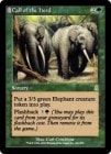���ò��ʡ�����EX���ڱѡ۽÷��θƤ���/Call of the Herd[��R]��ODY��