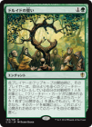 �ڱѡۥɥ륤�ɤ�����/Oath of Druids[��R]��C16��