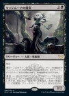 ���ò��ʡ��ץ���ޡ����ա������ۥ��å��ࡼ�������/Sedgemoor Witch[��R]��STX��