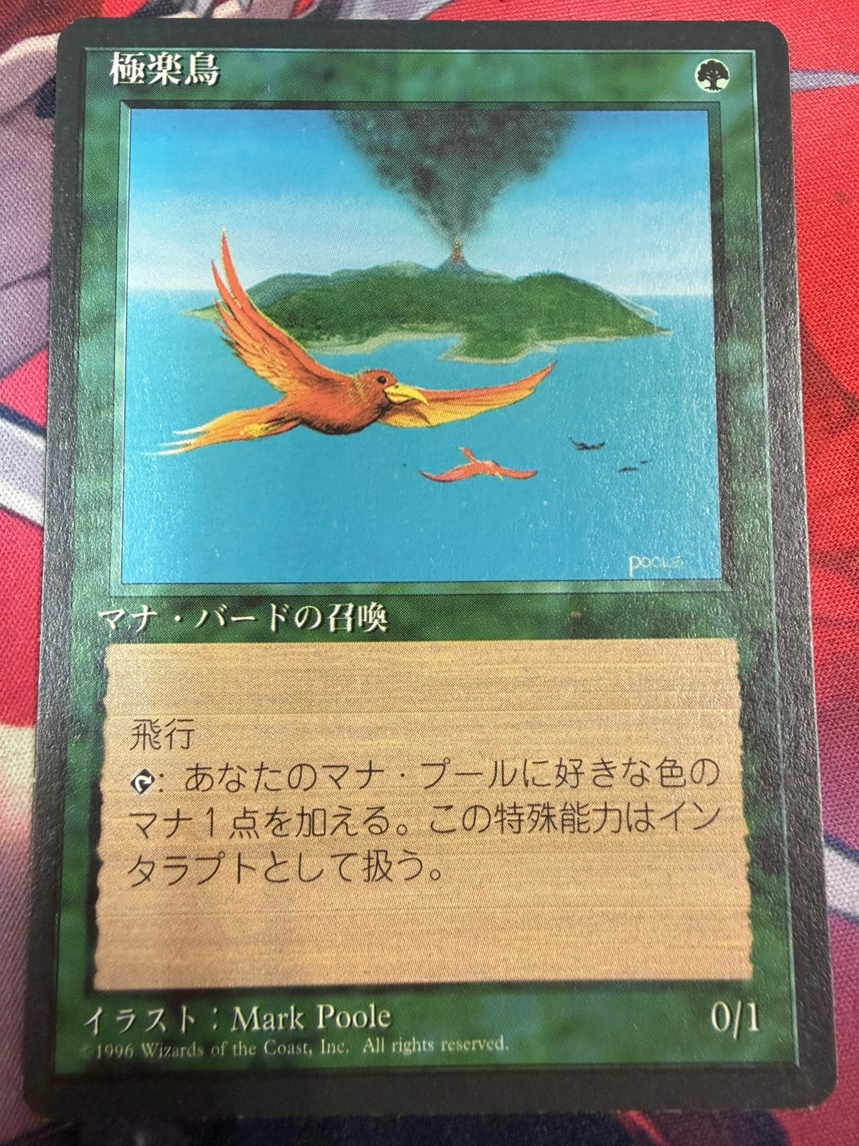 日】極楽鳥/Birds of Paradise[黒枠][緑R]【4EDBB】 | 全商品 | BLACK