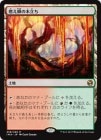 ���ݥ����10��Ը�������ò��ʡ�����EX��������ǳ��������Ω��/Grove of the Burnwillows[����R]��IMA��