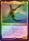 ���ò��ʡ������դ�����FOIL�ۡ�����ž������ǥ��ꥬ��/Darigaaz Reincarnated[��MR]��DOM��