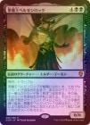 ���ò��ʡ������դ�����FOIL�ۡ����۰��Ⲧ�٥를����å�/Demonlord Belzenlok[��MR]��DOM��