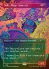 ��FOIL�ۡڱѡ�˽����ˡ�Υ������顼/Wild-Magic Sorcerer[No.2494][��P]��SLD��