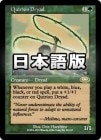���ò��ʡ�����VG�������ۥ������꡼����Υɥ饤����/Quirion Dryad[��R]��PLS��
