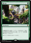 ���ò��ʡ�����EX�������۲ꤰ��/Burgeoning[��R]��C16��