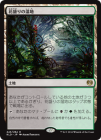 ���ݥ����10��Ը�������ò��ʡ�����EX�������۲�����μ���/Blooming Marsh[����R]��KLD��