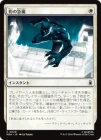������ɿ�ε޽�/Panther Pounce[��C]��MSH��