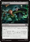 ������̿��������/Deadly Dispute[��C]��MSC��