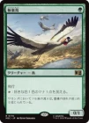 �����۶˳�Ļ/Birds of Paradise[��R]��MSC��