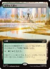 �����۹��������̤�/Bountiful Promenade[����R]��MSC��[��ĥ������]