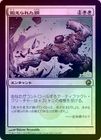 ��FOIL�ۡ������ä���줿��/Tempered Steel[��R]��SOM��