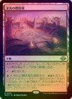 ���ò��ʡ�ǯ�٥ޡ����ա���FOIL�ۡ����۱ɸ���Ʈ����/Arena of Glory[����R]��MH3��