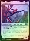 ��FOIL�ۡ����ۥ��ѥ�����UK/Spider-UK[��U]��MSC��