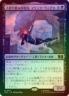 ��FOIL�ۡ�����������Ũ��ĵ������֥�å��������ɥ�/Black Widow, Daring Operative[��MR]��MSC��