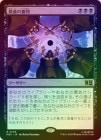 ��FOIL�ۡ����ۺǸ�ο�Ƚ/Doomsday[��R]��MSC��