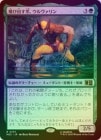 ��FOIL�ۡ��������ӽФ��ޡ�����������/Wolverine, Claws Out[��R]��MSC��