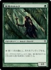 ���ò��ʡ�����EX���������첰�Υ����/Arbor Elf[��C]��WWK��