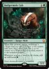 ���ò��ʡ�����EX���ڱѡۥ��ʥ��ޥ⥰��λ�/Badgermole Cub[��MR]��TLA��