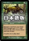 ���ò��ʡ�����VG�������������λ��︤/Wild Mongrel[��U]��ODY��