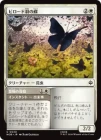 �����ۥӥ����ɱ���ĳ/Velvetwing Butterflies[��C]��HOB��