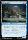 �����۰Ǥο������۲�/Mirkwood Meditator[��C]��HOB��