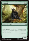 �����ۤդĤ��η�/Ordinary Bear[��C]��HOB��