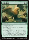 ��������ϵ�����/Warg Tactics[��C]��HOB��