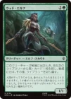 �����ۥ��åɡ������/Wood Elves[��C]��HOB��