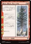 ������ǳ������ǳ�������ڤ衢������/Burn, Burn, Tree and Fern[��U]��HOB��