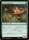 �����ۤ�ä����ʻƥ�����/Nasty Little Rabbit[��U]��HOB��
