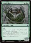�����ۤǤ֤�ǯ��ꥯ��/Old Fat Spider[��U]��HOB��