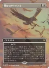 �������ɤ�������äƤ��롪/The Eagles Are Coming![��R]��HOB��[�ܡ������쥹]